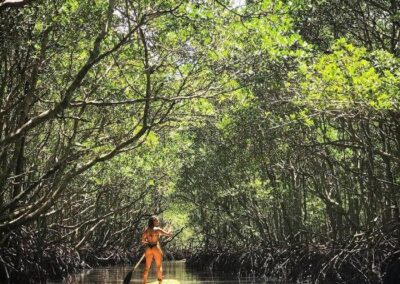 Passeio de Caiaque / Stand Up pela Amazônia Carioca