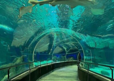 Acuario + Boulevard Olímpico